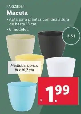 Lidl Maceta oferta