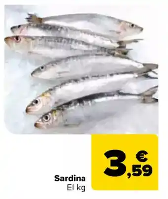Carrefour Sardina oferta