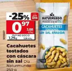 Dia Dia naturmundo - cacahuetes tostados con cáscara sin sal oferta
