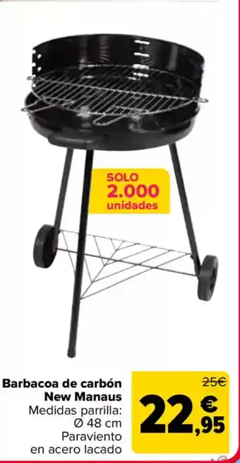 Carrefour Barbacoa de carbón New Manaus oferta