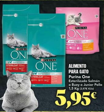 Gadis Comida para gatos purina oferta