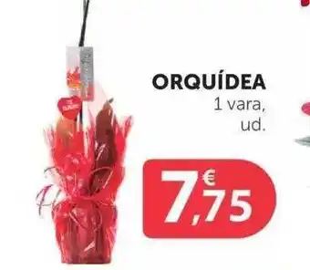 SPAR Orquídea 1 Vara, ud oferta