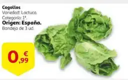 Alcampo Cogollos oferta