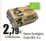 FROIZ Coren - huevo ecologico m/l 6 u oferta