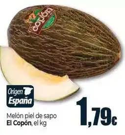 Unide Supermercados Melon piel de sapo el copon oferta