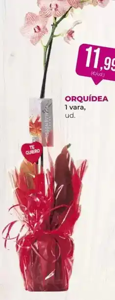 SPAR Gran Canaria 1 vara oferta