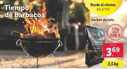 Lidl Carbón de leña oferta