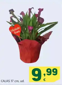 HiperDino Calas 17 cm oferta
