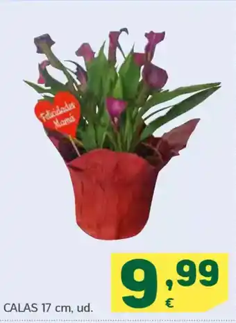 HiperDino Calas 17 cm oferta