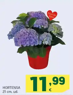 HiperDino Hortensa 21 cm oferta