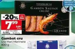 Dia Gambot cru oferta