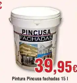 Hiper FROIZ Pintura Pincusa fachadas oferta