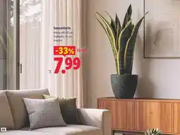 Alsara Supermercados Alteza - ensalada oferta