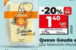 FROIZ Origen - kiwi cesta oferta