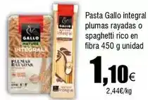 FROIZ Gallo - pasta integral plumas rayadas o spaghetti rico en fibra oferta