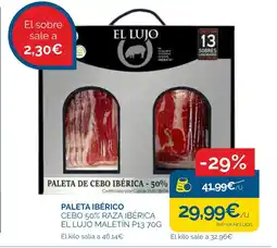 Cash Ecofamilia Paleta ibérico cebo 50% raza ibérica el lujo maletín oferta