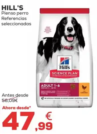 Kiwoko HILL'S Pienso perro Referencias seleccionadas oferta