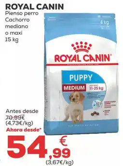 Kiwoko ROYAL CANIN Pienso perro Cachorro mediano o maxi oferta