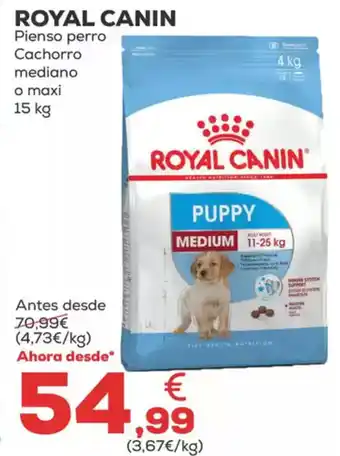 Kiwoko ROYAL CANIN Pienso perro Cachorro mediano o maxi oferta