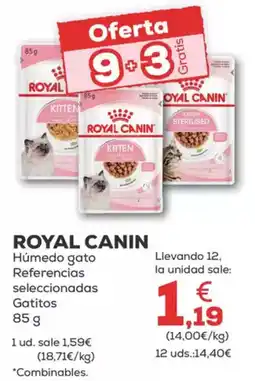 Kiwoko ROYAL CANIN Húmedo gato Referencias seleccionadas Gatitos oferta