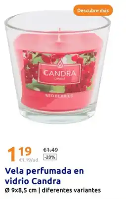 Action CANDRA Vela perfumada en vidrio oferta