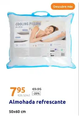 Action Almohada refrescante 50x60 cm oferta