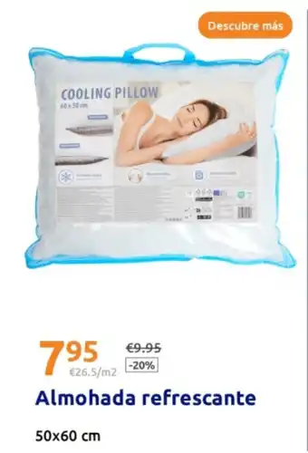 Action Almohada refrescante 50x60 cm oferta