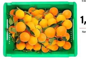 Cash Ifa Naranja C/Hoja oferta