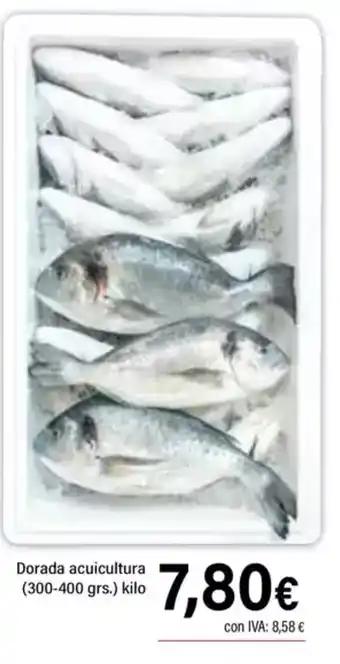 Cash Ifa Dorada acuicultura (300-400 grs.) oferta