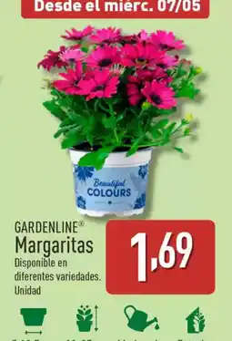 ALDI GARDENLINE Margaritas oferta