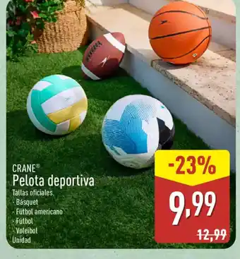 ALDI CRANE Pelota deportiva oferta