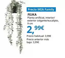 IKEA Fejka - planta artificial, interior/exterior colgante/eucalipto oferta