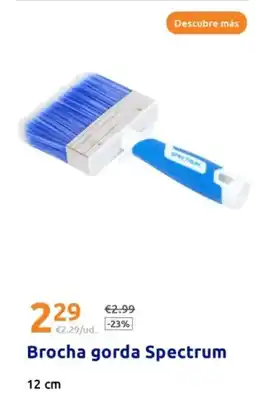 Action Brocha gorda spectrum oferta