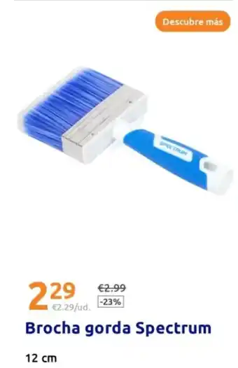 Action Brocha gorda spectrum oferta