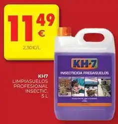 CashDiplo Kh-7 - limpiasuelos profesional insectic oferta