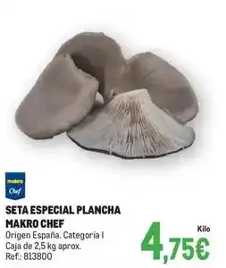 Makro Makro - seta especial plancha oferta
