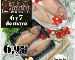 Gadis Solo - gallo oferta