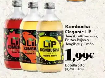 Gadis Kombucha - organic oferta