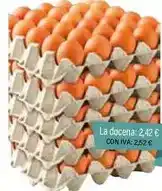 Cash Ifa La docena oferta