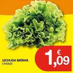 CashDiplo Lechuga batavia oferta