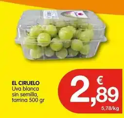CashDiplo Uva blanca sin semilla tarrina oferta