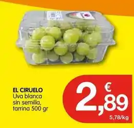 CashDiplo Uva blanca sin semilla tarrina oferta