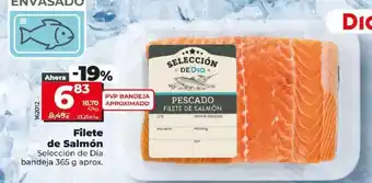 Dia Seleccion de dia - filete de salmón oferta