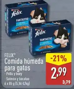 Dia La gula del norte oferta