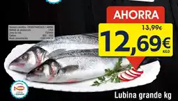 FROIZ Lubina grande oferta