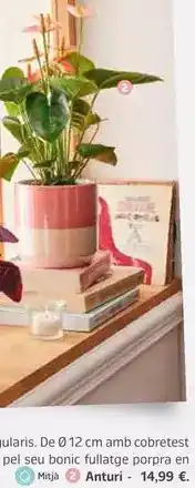 Jardiland Antauri oferta