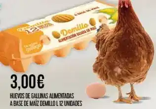 Claudio Demillo - huevos de gallinas alimentadas a base de maiz demilo oferta
