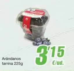 SPAR Fragadis Arándanos tarrina 225g oferta