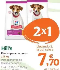 TiendAnimal Hill's - pinso per a cadell oferta