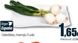 Unide Market Cebolleta, manojo oferta
